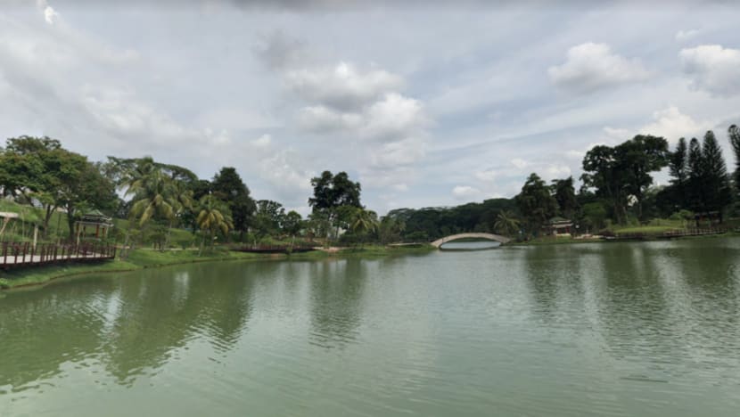 Wanita 38 tahun maut ditimpa pokok di Marsiling Park Wanita 38 tahun maut ditimpa pokok di Marsiling Park