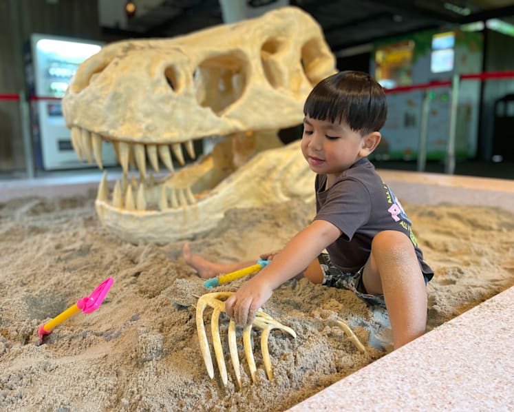 11 best things to do with your kids during the end of year school holidays
