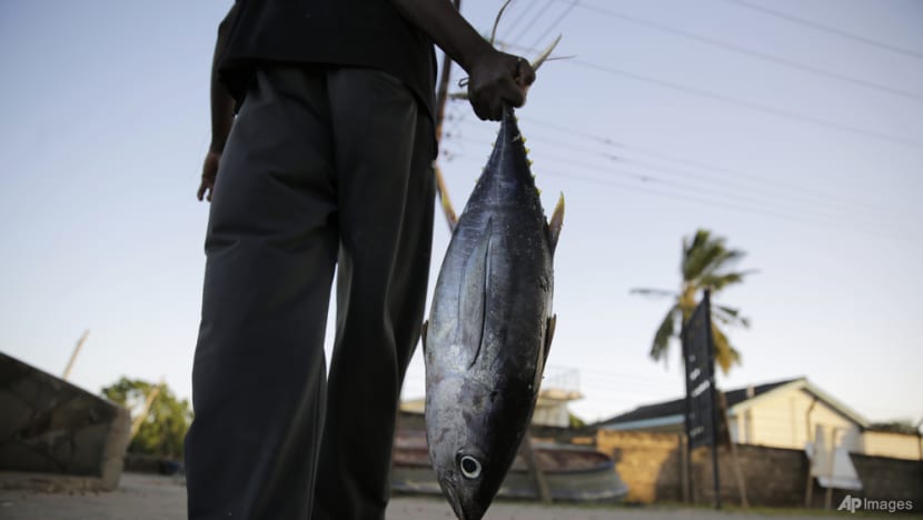 Environmentalists pile on pressure in Indian Ocean tuna row Environmentalists pile on pressure in Indian Ocean tuna row