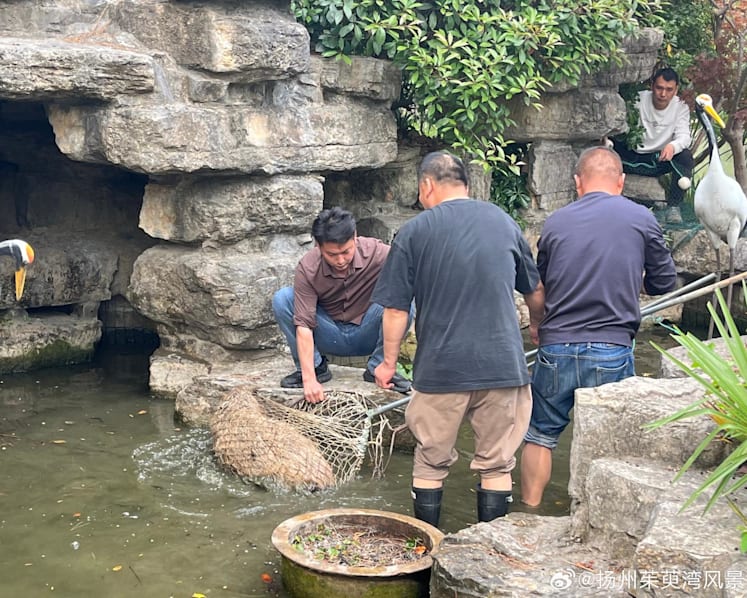 ‘Doubao, come home’: Chinese netizens react with amusement, concern over Jiangsu zoo’s runaway capybara
