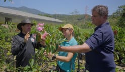 ROOTS: A Greening Journey - A Garden City’s Latin American Roots