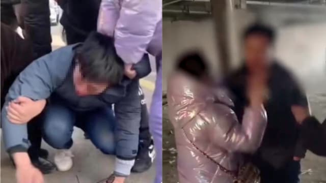 男子“领养”流浪猫后虐杀 保育者揪众强拘暴打逼吃屎