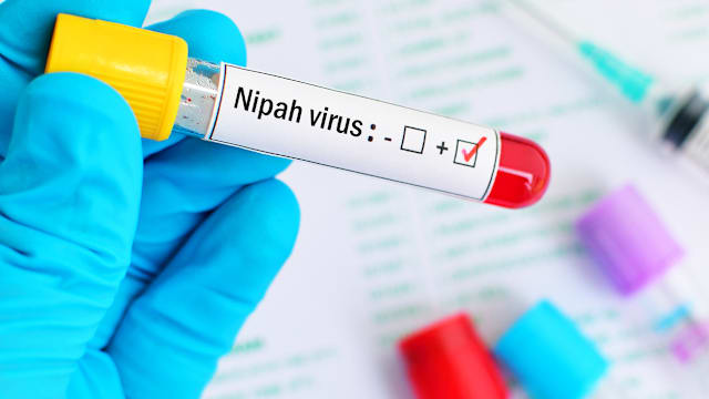 印度女子出现疑似症状后死亡 两名护士确诊感染立百病毒