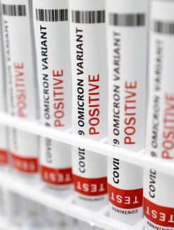 Despite the rise in cases driven by the XBB coronavirus strain, experts said that there is no need to retighten Covid-19 safety measures here. 