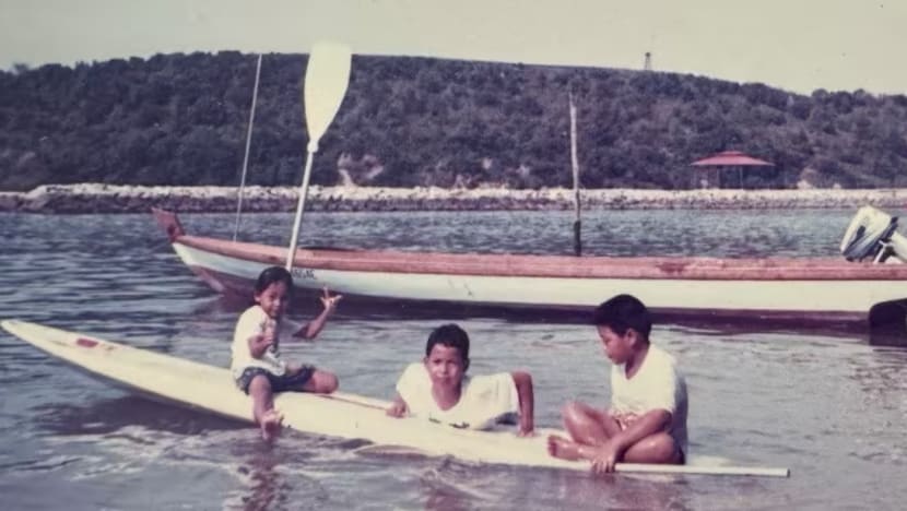 Potensi sumbangan Orang Pulau dalam pembangunan mampan pulau selatan SG