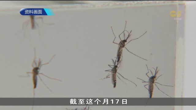 本地上周通报270起骨痛热症病例 比一周前多出逾六成