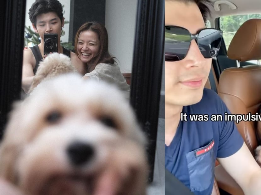 Shawn Thia Let Fiancée Xenia Tan Leash Him And Walk Him In Public To Assure Their Rescue Dog That The Leash Is Not Scary
