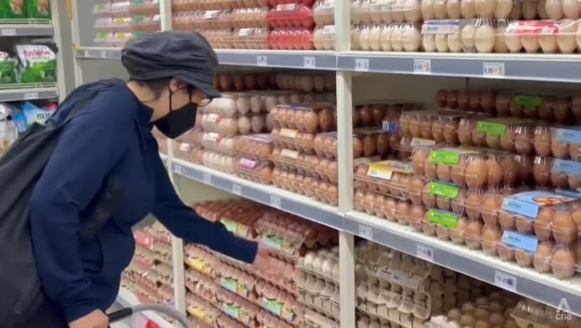 Malaysian PM Anwar scrambles to tackle egg shortage and soaring food prices Malaysian PM Anwar scrambles to tackle egg shortage and soaring food prices