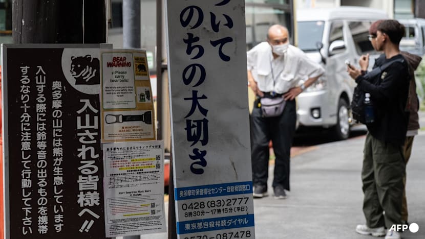 Japan police investigate another suspected fatal bear attack