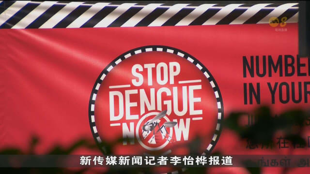 骨痛热症病例攀升 公众对买相关保险计划反应不一