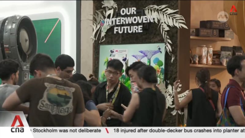 Singapore youths connect with overseas peers, witness negotiations at COP30