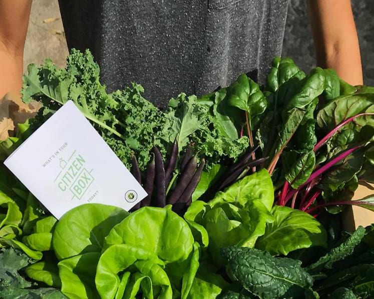 Going eco-friendly: Can you really pursue a sustainable lifestyle in Singapore?
