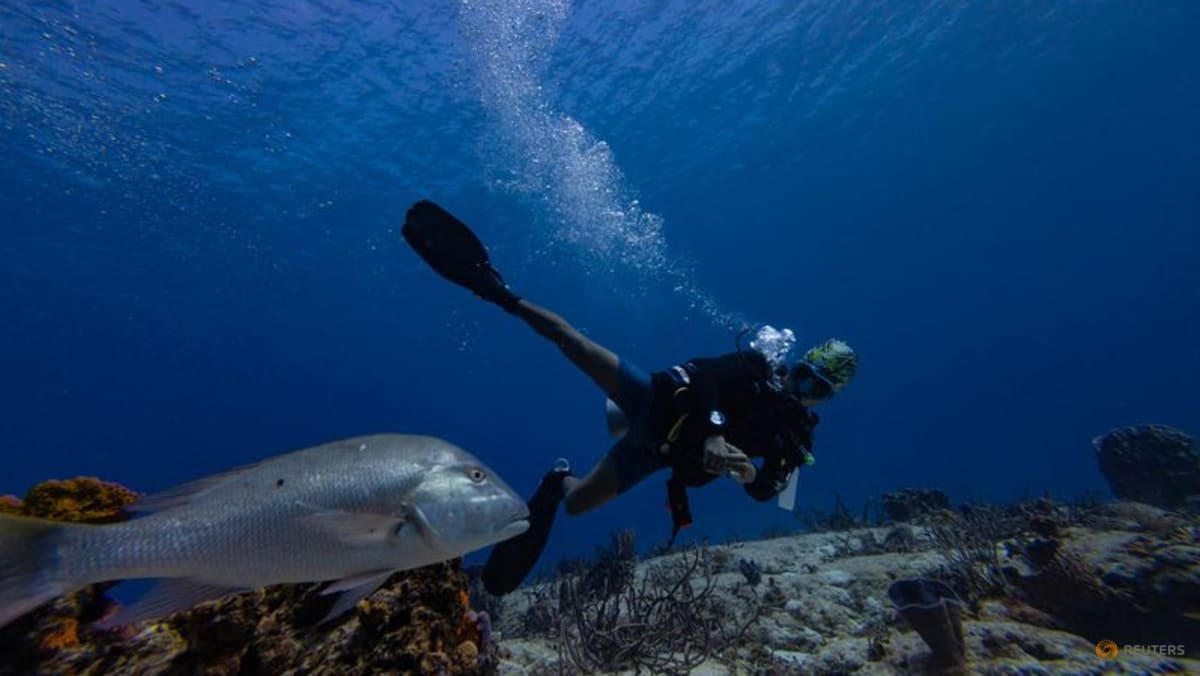 High Seas Treaty: Why Southeast Asia can’t ignore the new rulebook for the deep blue