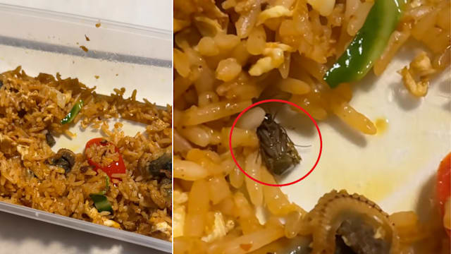 炒饭内惊见小蟑螂！食品局对事件展开调查
