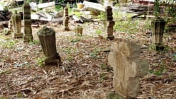 Related article image