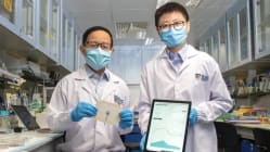 Related article image