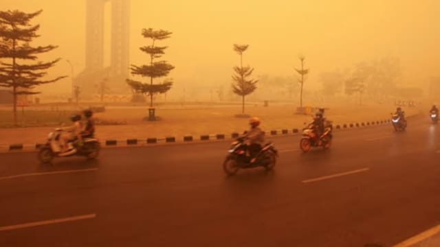 “火点多集中在非营运区” 益资源回应涉林火质疑