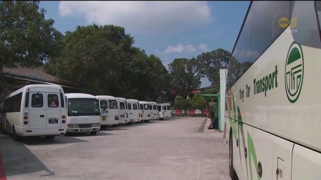 校车业者：批准聘用更多外籍司机无法解决长期问题