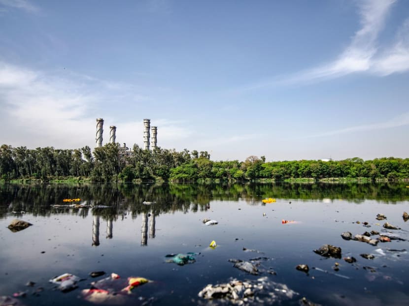 From polar bears to groundwater, nature is riddled with 'forever chemicals' From polar bears to groundwater, nature is riddled with 'forever chemicals'