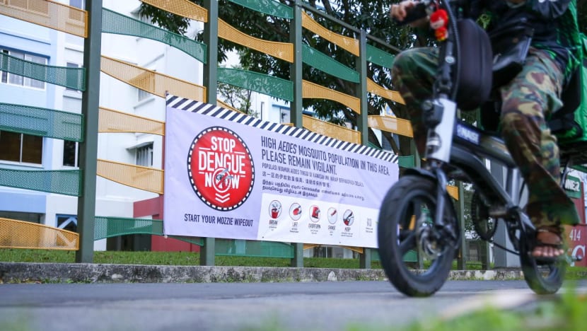 Immediate action needed to fight dengue as cases this month expected to break weekly record high: NEA 