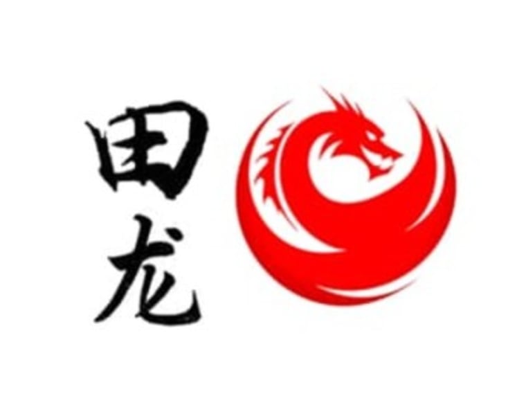 Tianlong Services Unveils Smart Bookkeeping Model 