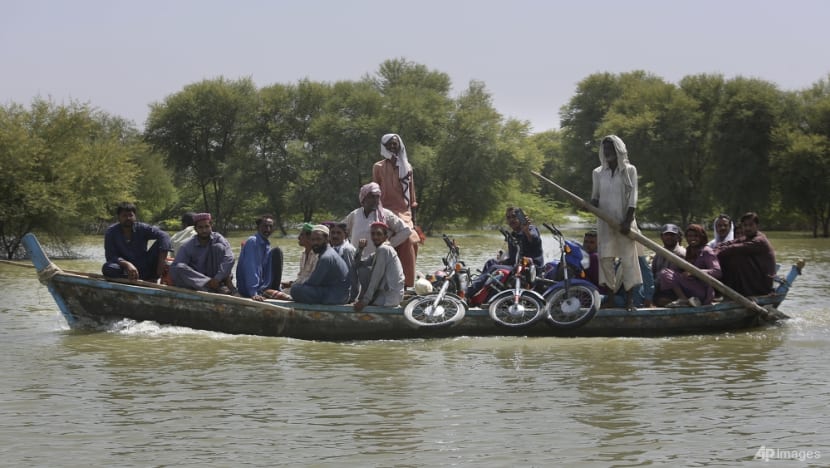 Drive for climate compensation grows after Pakistan's floods Drive for climate compensation grows after Pakistan's floods