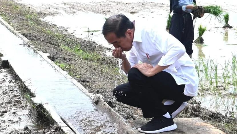 Jokowi peringatkan Indonesia akan diterjang gelombang panas dari Juli hingga Oktober