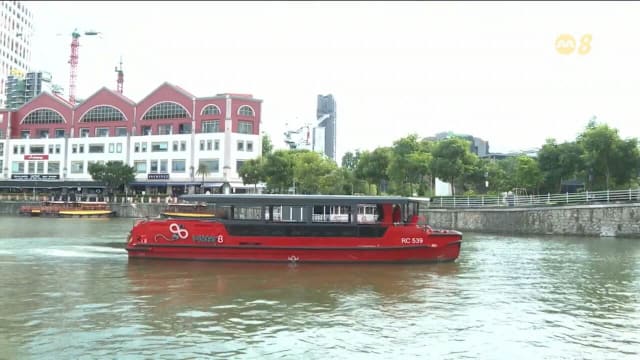 全球电动船需求升温 本地业者拓展海外市场本土发展仍处起步阶段