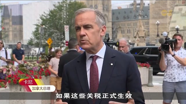 卡尼：加美同意就美国加征50%关税一事加紧谈判