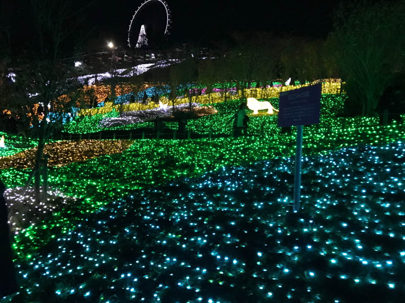 5 Instagram-worthy hidden gems near Tokyo