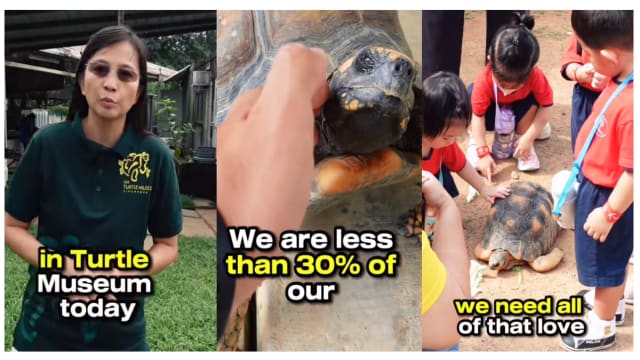 活龟鳖博物馆访客少收入减 馆方：可能撑不到几个月