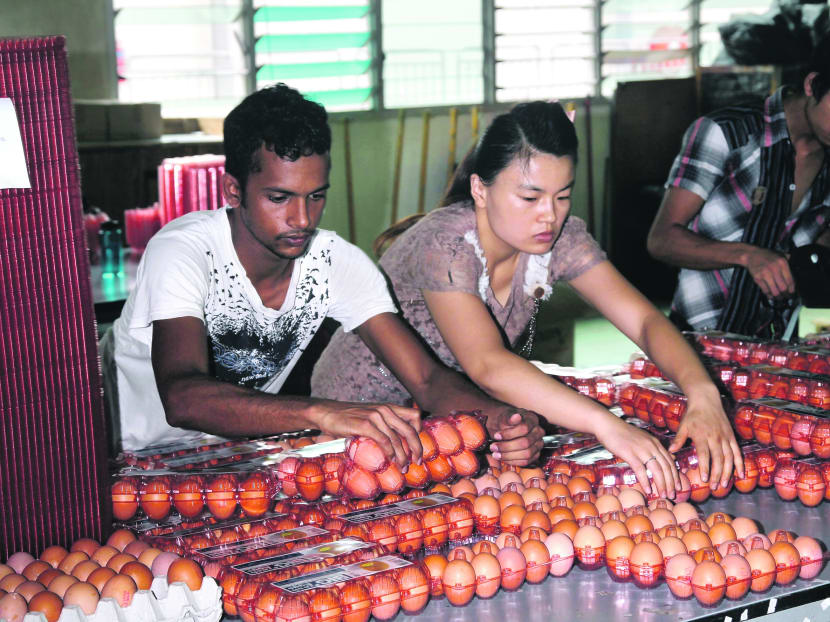 This Singapore farmer is one tough egg to crack