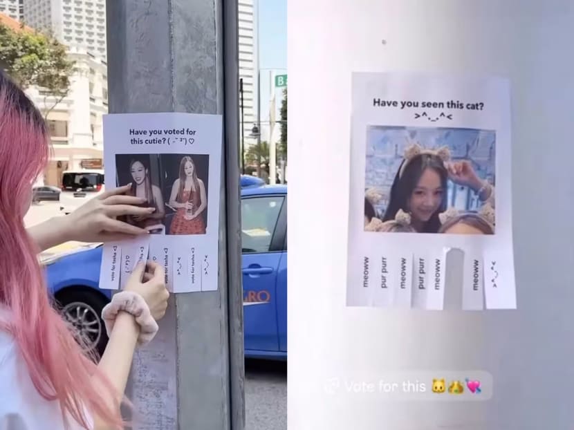 Tasha Low's fans helping her get votes for Star Awards with tear-off posters