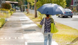 From heatwaves to rising seas: Singapore lays out climate adaptation plan
