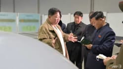 Related article image