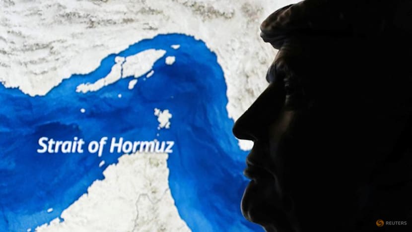 Trump says other countries should 'just take' the Strait of Hormuz