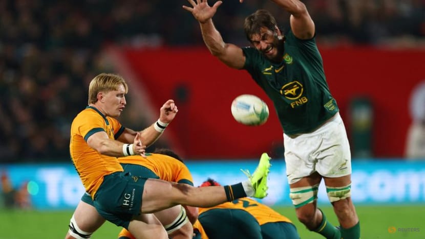 Wallabies expecting Cape Town backlash after Ellis Park euphoria