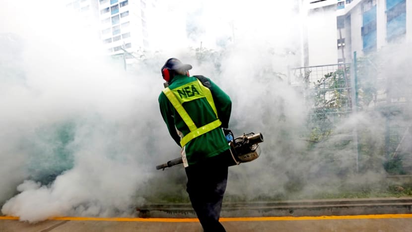 New potential Zika cluster in Bishan St 12 area as total cases hit 275