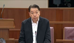 Melvin Yong on Veterinary Practice Bill