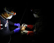 Singapore monitoring Nipah virus case reported in Bangladesh; no cases here