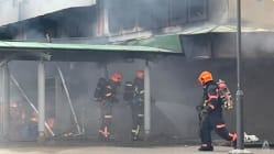 Related article image