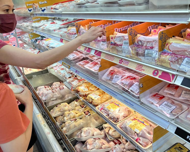 Malaysia to lift export ban on live broiler chickens from Oct 11: SFA