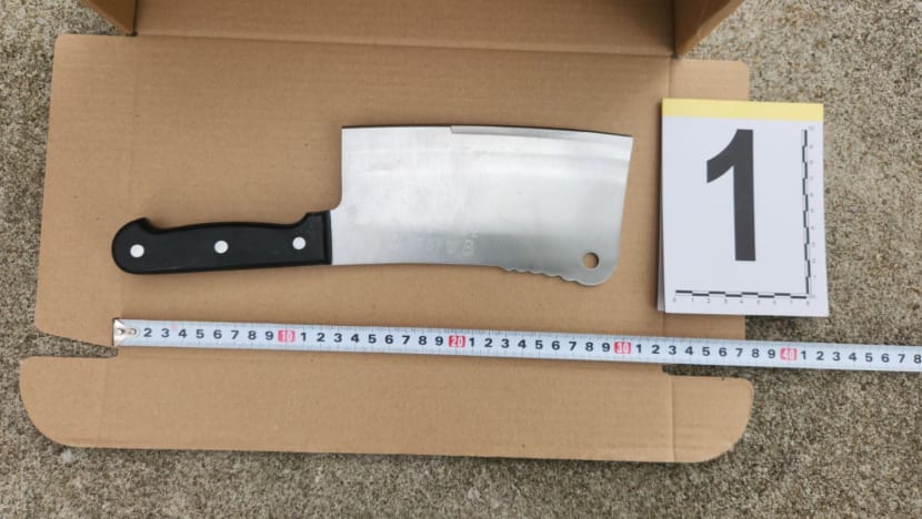 Man arrested for allegedly attacking elderly man with a chopper