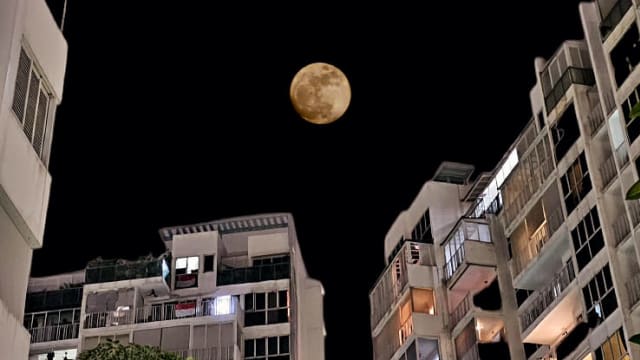 “超级蓝月”本地登场 民众雀跃等待拍照分享