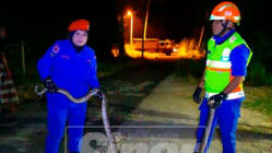 Related article image