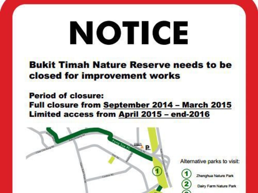 Bukit Timah Nature Reserve to be closed for 6 months: NParks