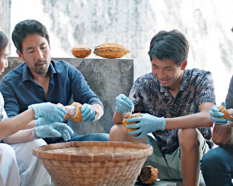 The couple who gave up their legal careers to find happiness in Thai chocolate