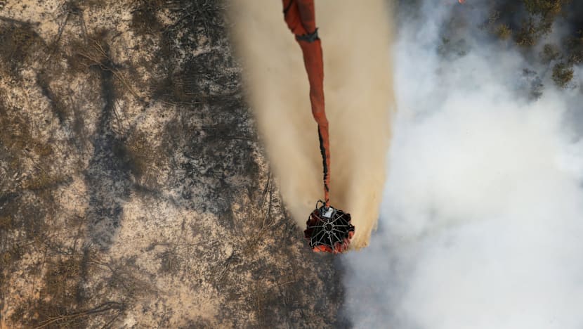 Indonesia's hazy skies worsen as forest burning continues