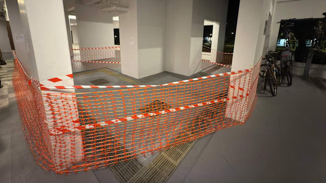 吉丰弄组屋再现高楼抛物 当局介入调查