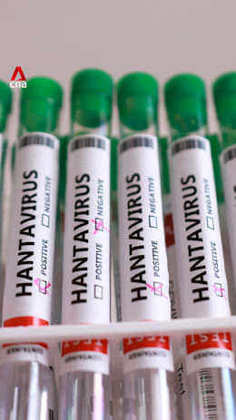 2 Singapore residents quarantined for hantavirus exposure, expert says 'no need to panic'